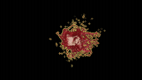 phone-ca-snowflake — cellular automata snowflake on video